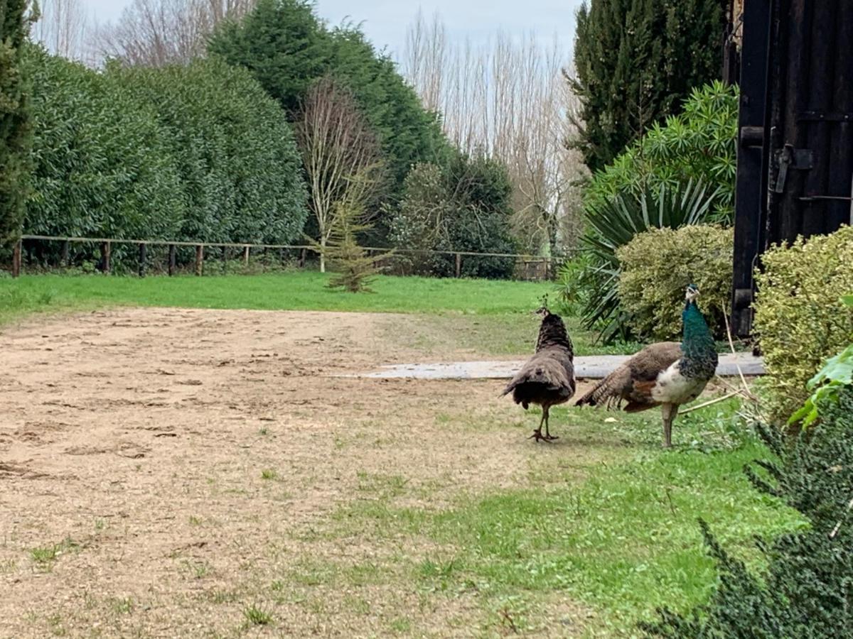 Le 44 Villa Baguer-Pican Dış mekan fotoğraf